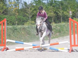 IMG_0550_web
